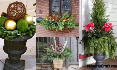 Christmas Urn & Windowbox Filler Ideas