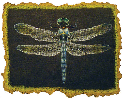 Creative Project Of Insects & Torn Edges On A Felt Oil pastel art projects for school 
