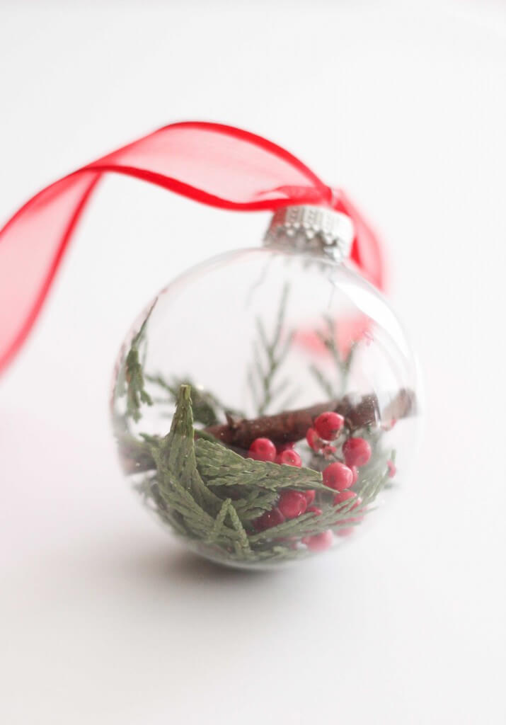 DIY Botanical Ball Christmas Craft Ideas