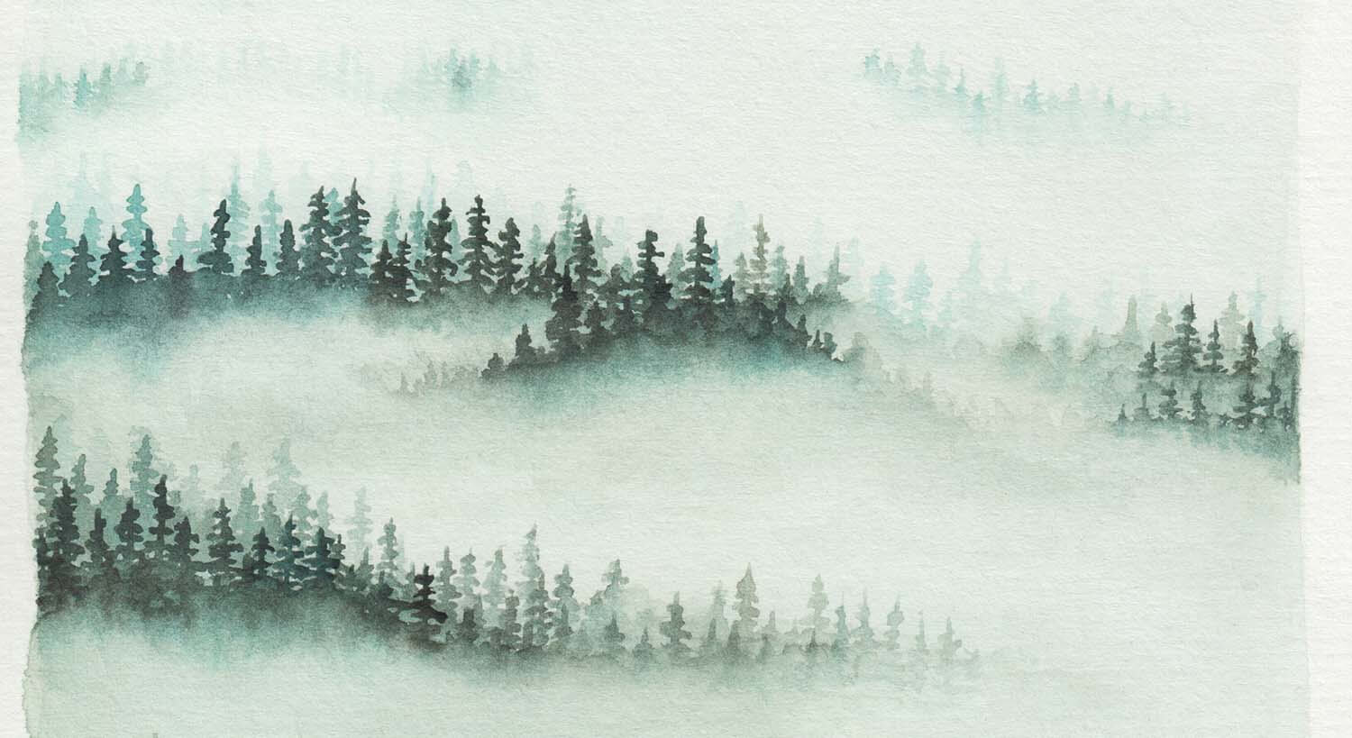 Easy Way To Draw Foggy Forest Idea For Beginners Using Watercolors