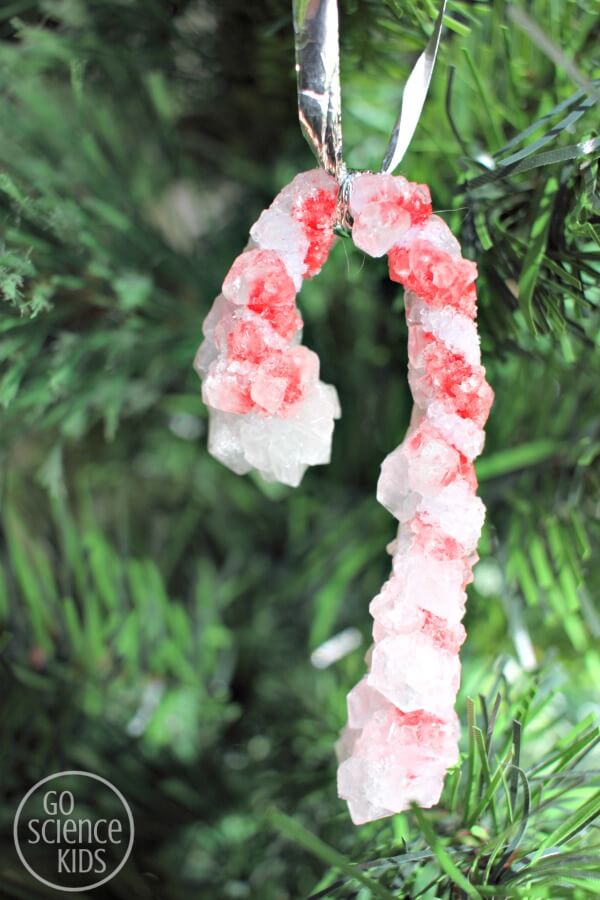Fun Crystal Candy Canes Science Project For Christmas