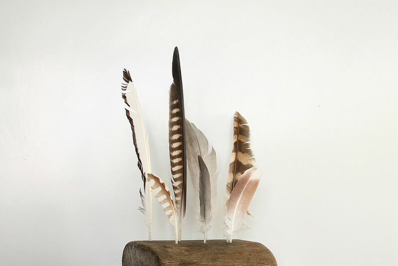 Handmade Feather Holder Craft Using Driftwood