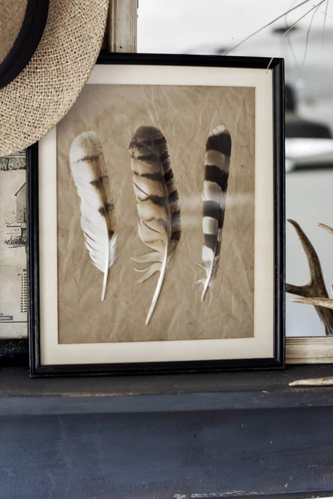 Make A Elegant Photo Frame Decor Craft With Feathers Framed Feather Art Ideas