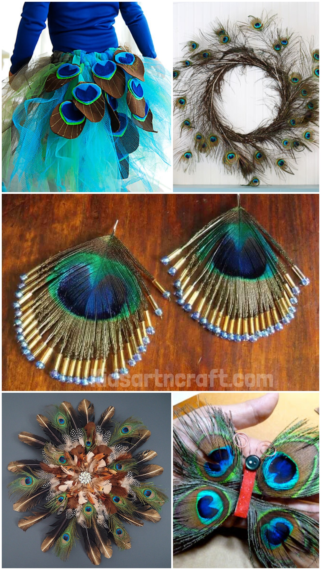 Peacock feather craft ideas