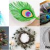 Peacock feather craft ideas