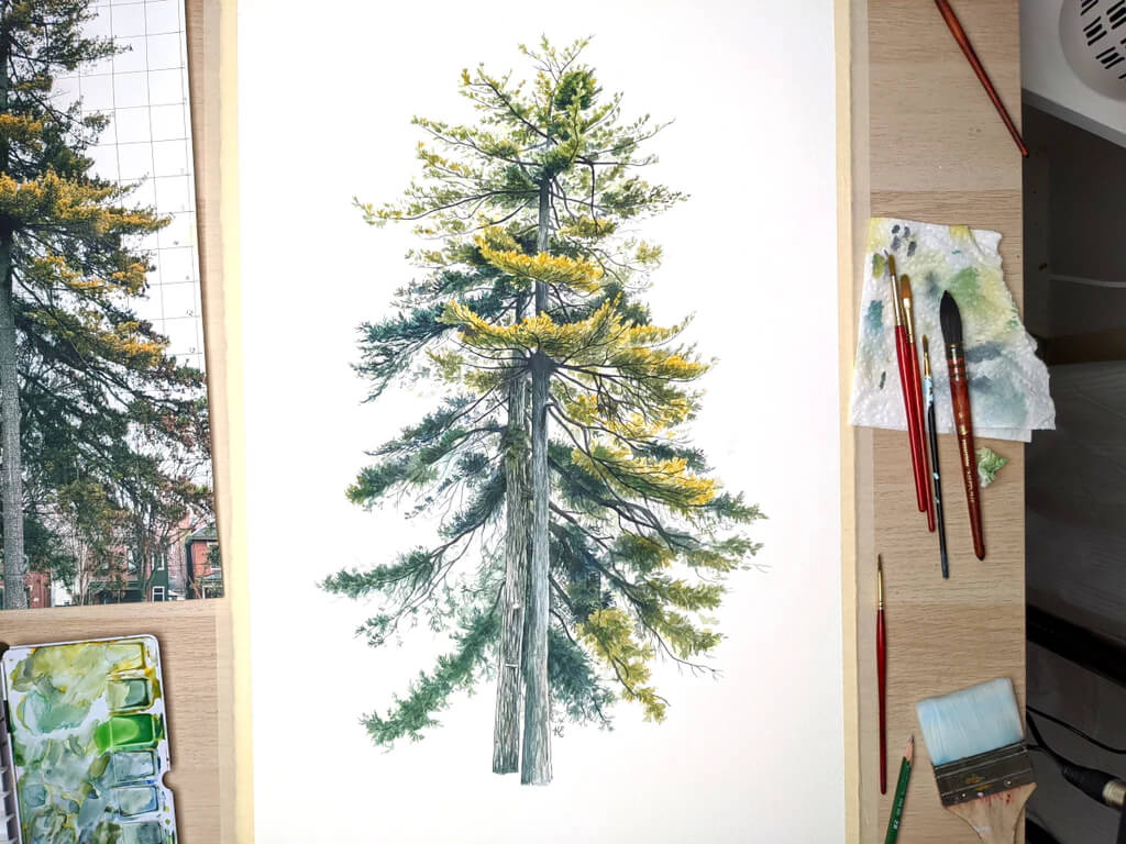 Realistic Watercolor Tree Drawing Idea