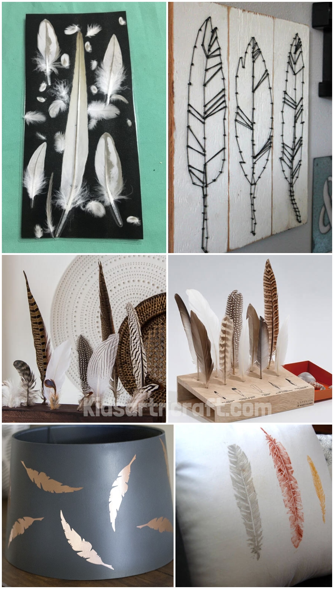 Ways to display feathers
