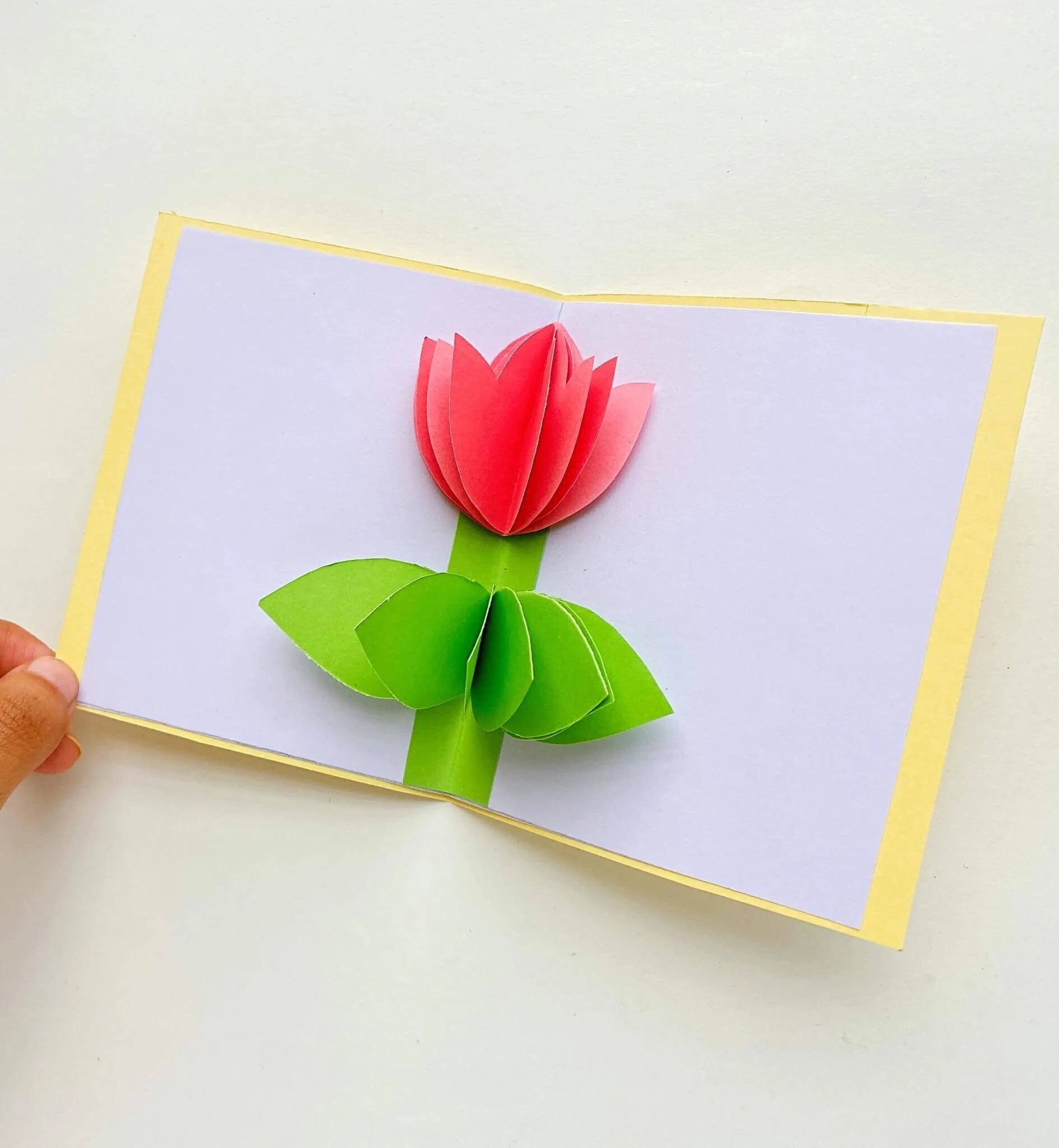 3D Tulip DIY Origami Card Ideas for KidsDIY Origami Card Ideas for Kids