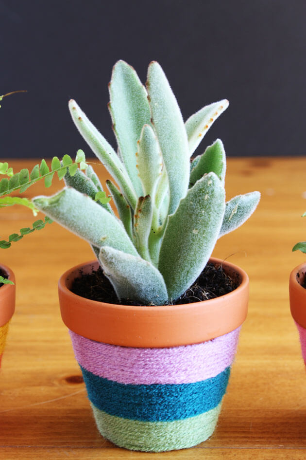 Eco-Friendly Yarn Flower Pot Craft : Yarn Crafts To Sell