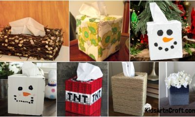 Tissue box Decoration Ideas