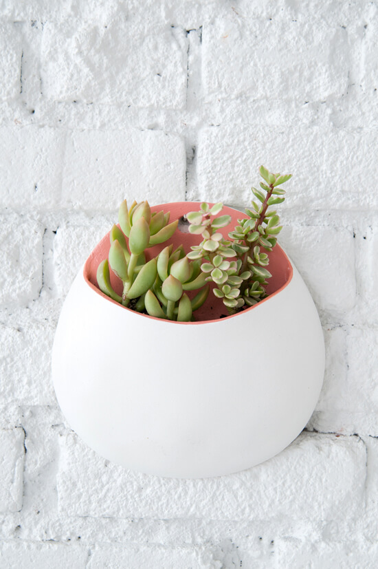 Adorable Wall Hanging Plant Holder Craft With Polymer Clay