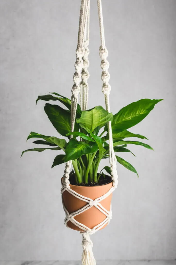 Adorning Macrame Plant Holder Designing Idea