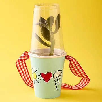 Cute Paper Cup Planter Made With Waste Material & Plastic Cup
