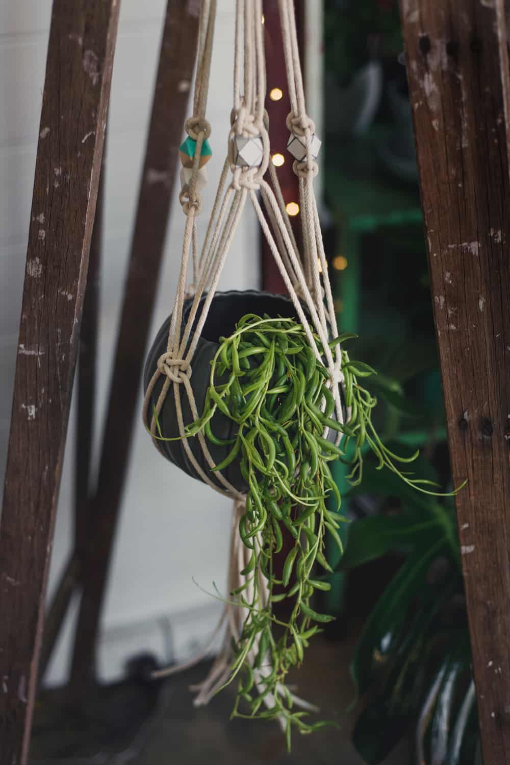 DIY Easy Macrame Pot Holder Designing Idea For PlantsMacrame Plant Hanger Patterns
