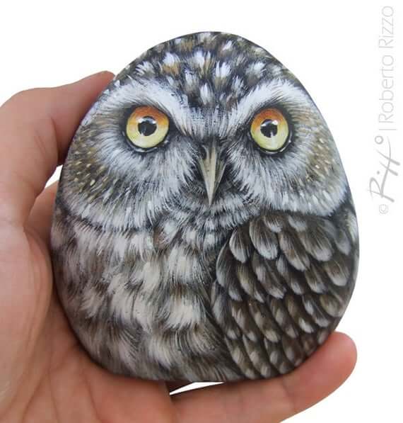 Easy Owl Rock Painting On a Smooth Sea Rock Beautiful Owl Rock Painting Ideas