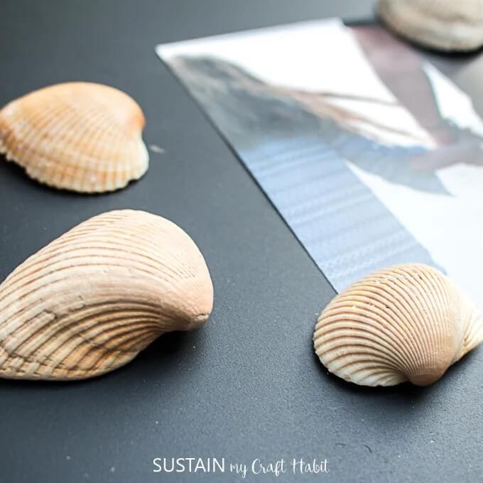 Easy Sea Shell Fridge Magnet Crafting Idea