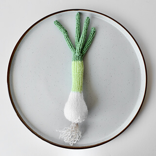 Easy To Make Spring Onion Craft