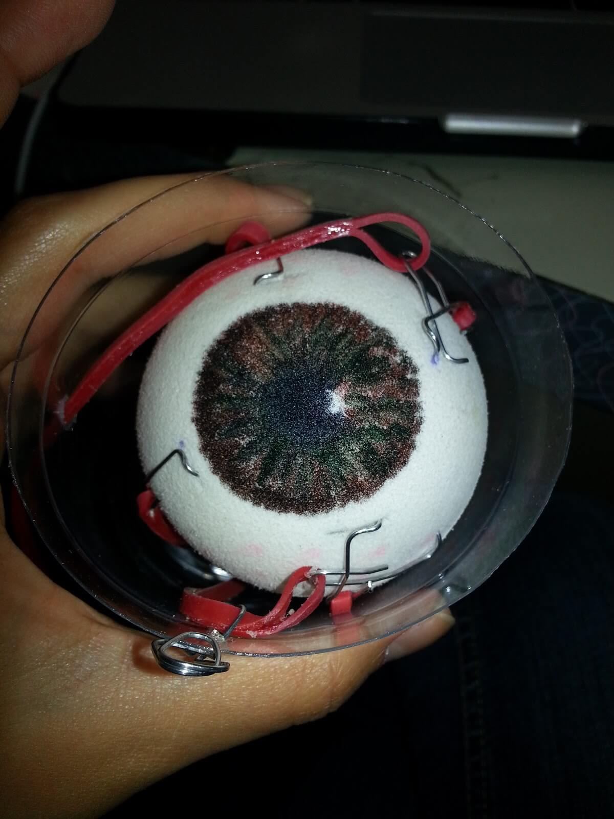 Fantastic Human Eyeball Model Craft Idea Using Styrofoam Ball