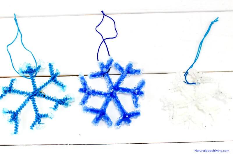 Frozen Crystal Snowflakes ornament  Science Experiments For kids