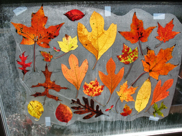 Fun To Make Craft  With Leaf Prints For Window Decor