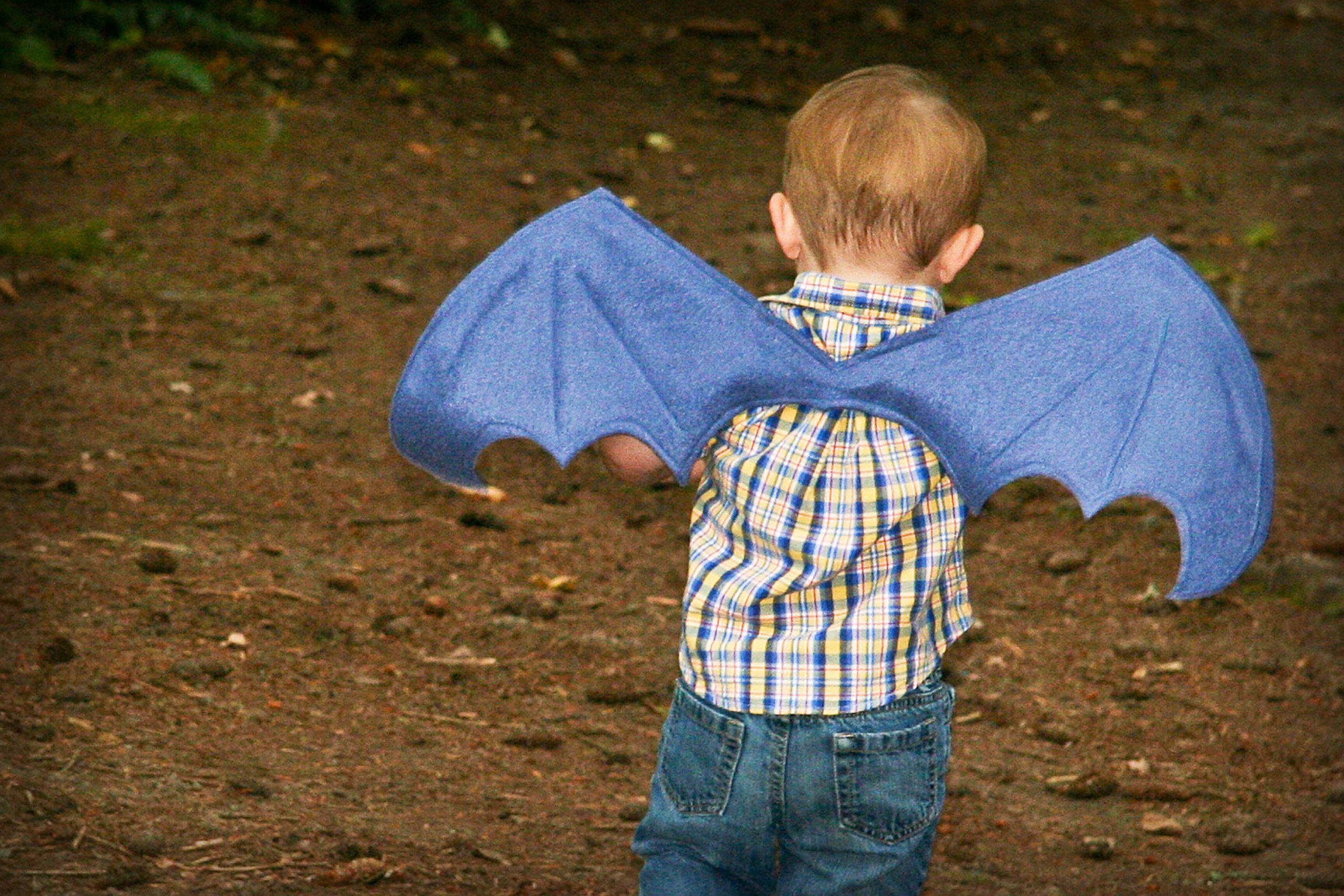 Fun To Make Dragon Wings For Toddlers Dragon Costume DIY Ideas for Kids 