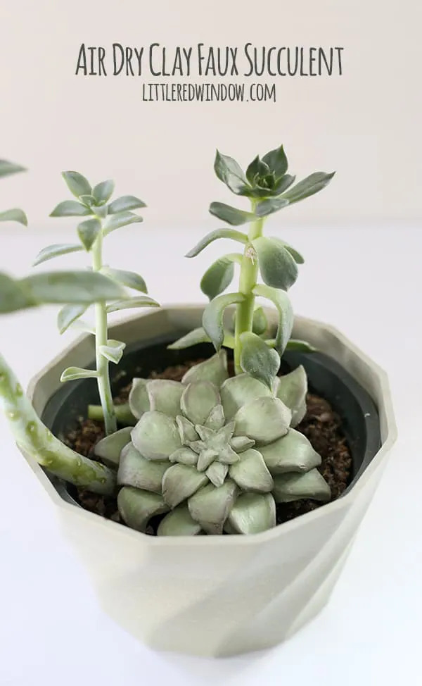 Let's Make An Faux Succulent Craft With Air Dry Clay Air dry clay Sculpture Ideas
