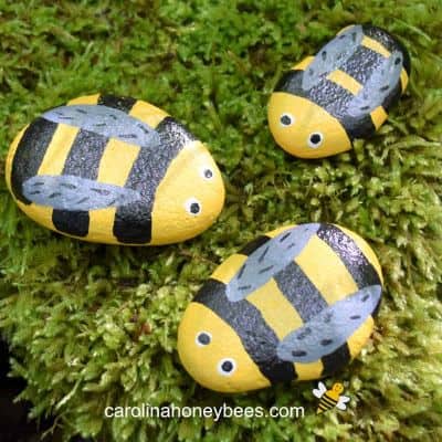 Little Bee Humming Rock Painting DIY For Garden