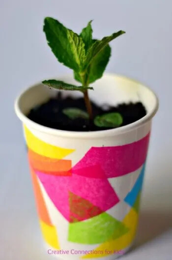 Lovely Paper Cup Herb Planter Crafts For Toddlers