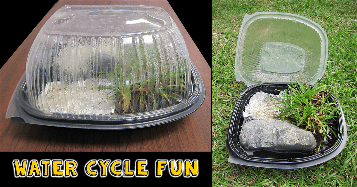 Mini & Cute Water Cycle Craft Project For Outdoor Outdoor Science Experiments for Kids