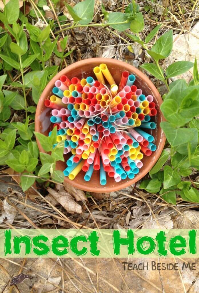 Outdoor Nature Science Craft Activity For Kids Outdoor Science Experiments for Kids