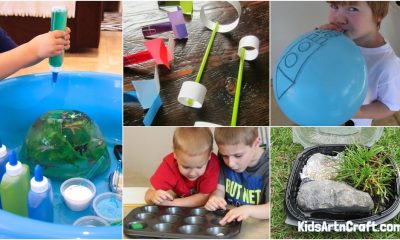 Outdoor Science Experiments for Kids