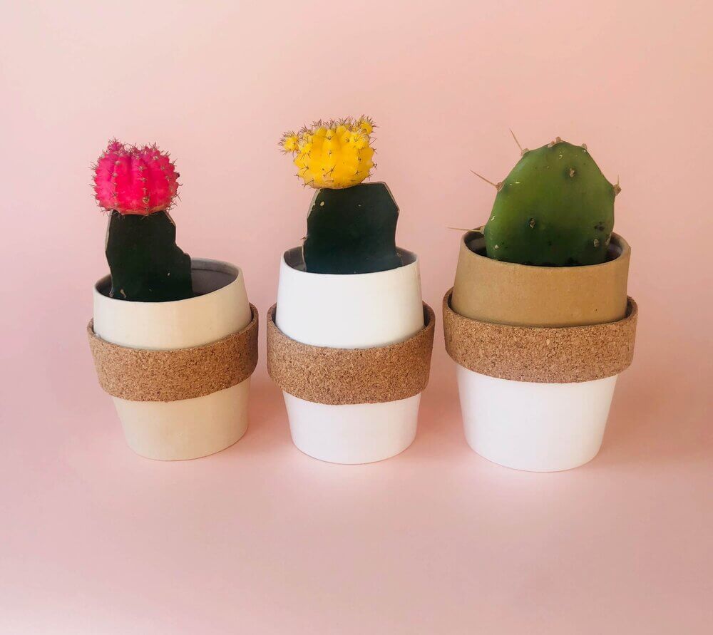 Paper Cup Cactus Planter Crafts For KidsPaper Cup Planter Crafts