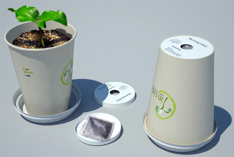 Paper Cup Seedling Planter Crafts DIY For Kids