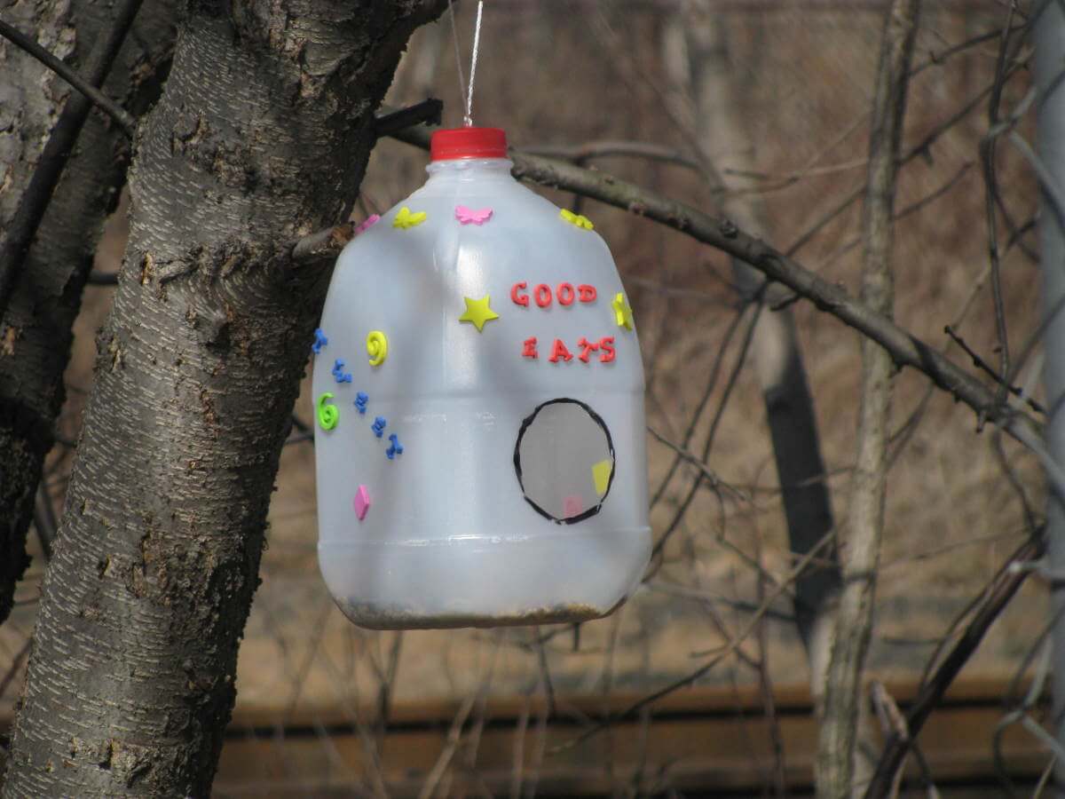 Plastic Milk Bottle Bird Feeder Making Idea For Kids