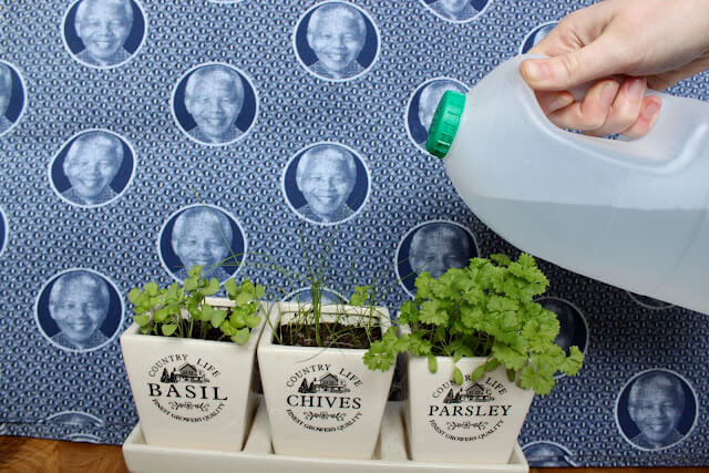Recycled Plastic Milk Jug Watering Can Idea To MakePlastic Milk Carton Craft Ideas 