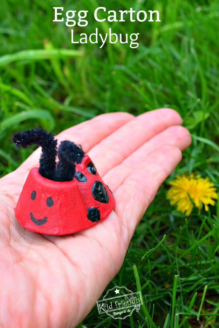 Simple Egg Carton Ladybug Craft Idea For Kids