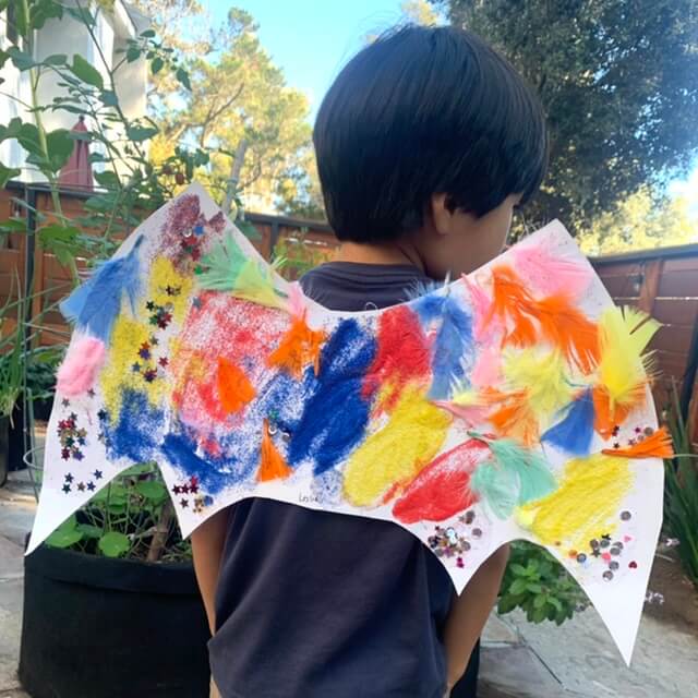 Unique Colorful Dragon Wings For Small Boys