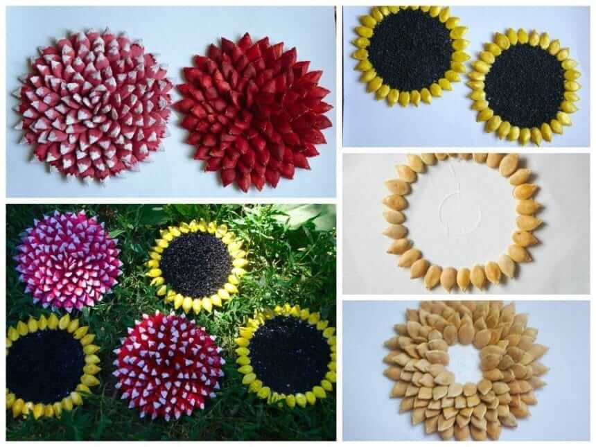Amazing Flower Art Using Seeds For Decoration