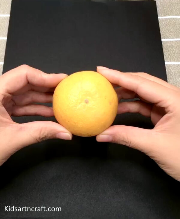 Cool Art Of Making Orange Peel Flower Pot Craft Idea For Beginner