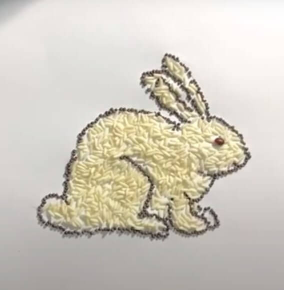 Cute & Easy To Make Rabbit Craft For School Kids