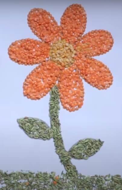 Fun To Make Plant Craft Using Tiny Seeds & Pulses