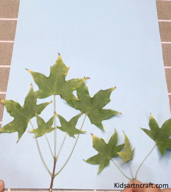 Cool Art To Make Creative Ladybug Craft Idea For Kids Using Leaves
