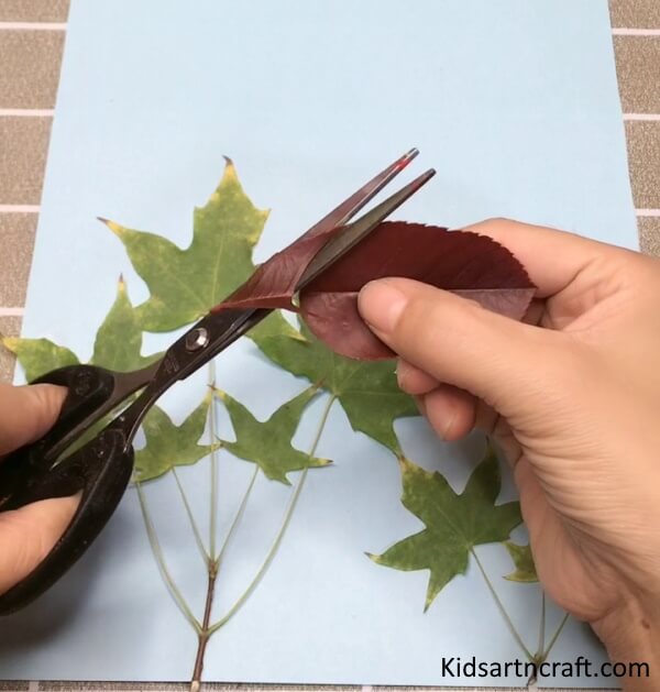 DIY Art Process To Make Perfect Ladybug Craft For Beginner Using Scissor Ladybug Art & Craft Using Leaves - Step by Step Tutorial