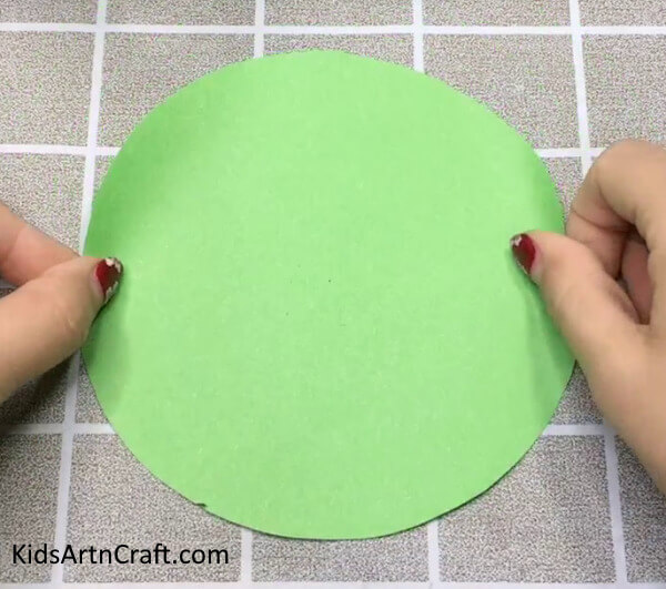 Easy Process To Make Paper Turtle Craft Idea For Beginners
