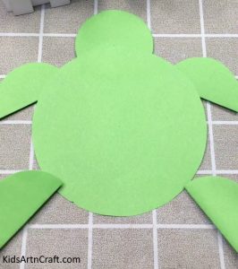 Paper Turtle Craft – Step by Step Tutorial - Kids Art & Craft