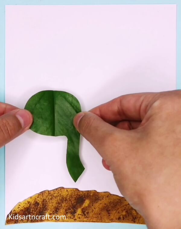 DIY Turtle Craft Idea With Recycled Leaves