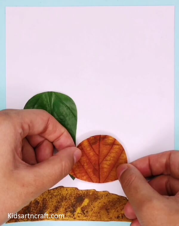 Creative Nature Craft Idea Using Leaves - Recycled Turtle Craft With Sun