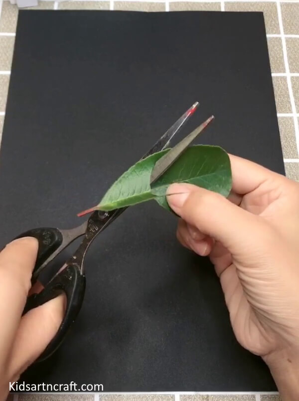 Cool Art Process To Make Bird Craft Idea For Beginner Using Leaves