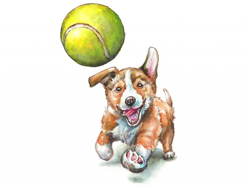 Amazing Watercolor Tennis Ball CraftPainting Balls With Watercolor 