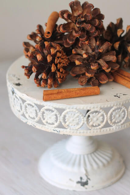 Cinnamon Pinecones Recipe For A Beautiful Smell